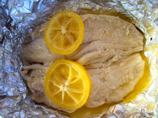 Fish Fillets on the Grill